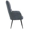 VidaXL Chaise de Relaxation Fauteuil de Détente Siège de Relaxation Chaise de Détente Salon Salle de Séjour Intérieur Gris 328074