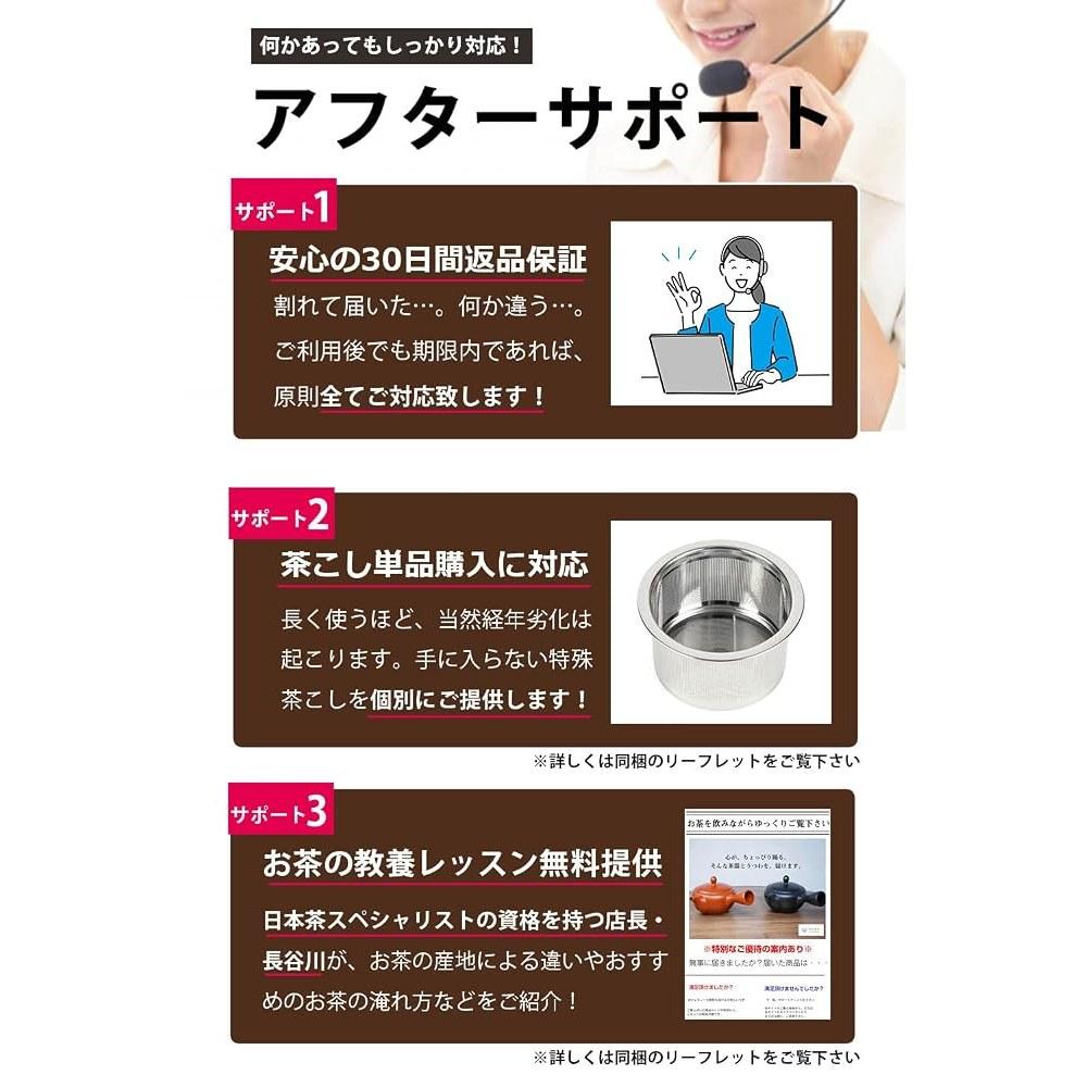 Tokoname Yaki Japanese Teapot with Stainless Strainer 300ml - Easy To Clean, Drip-Free Design