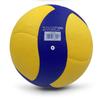 Mikasa Premium Volleyball Set - V200W Official Competition Ball + V300W Training Ball, Size 5 for Indoor Courts
