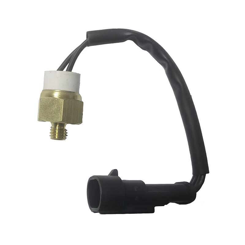 Benwang Water Temperature Sensor for Iveco NJ2045/NJ2046