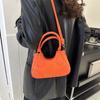 French niche design handbag women's 2024 new trendy texture shoulder bag fashionable versatile foreign style messenger bag