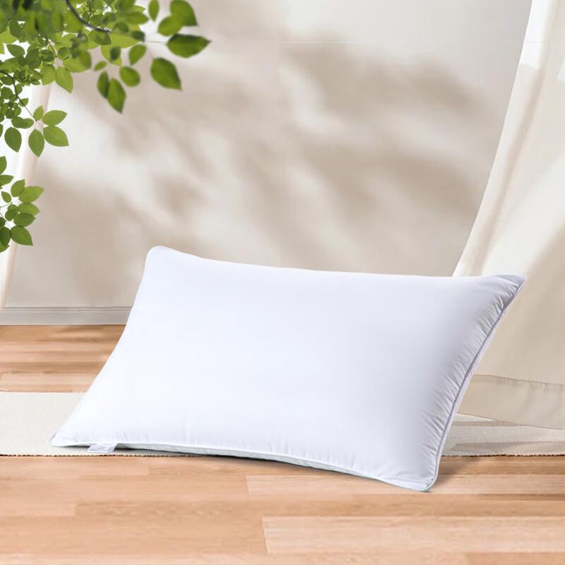Mercury Home Textiles Antibacterial Pillow