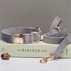 Ensemble collier et laisse pour chien en velours gravé avec boucle métallique réglable