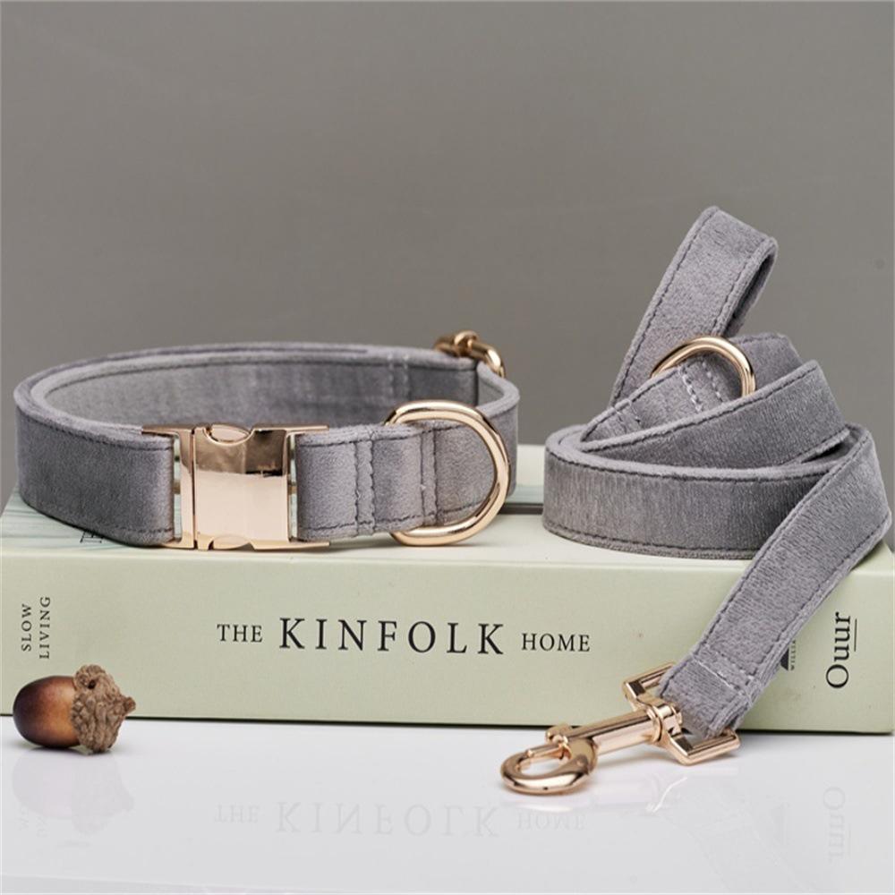 Ensemble collier et laisse pour chien en velours gravé avec boucle métallique réglable