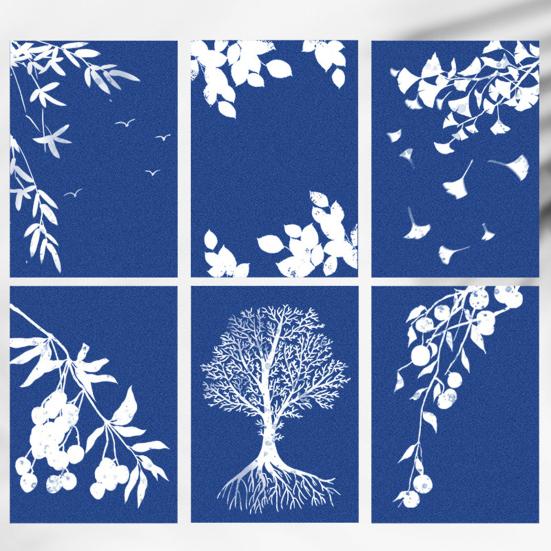 24 Sheets/Set Cyanotype Paper Sun Print Paper with Acrylic Panel Sun Activated