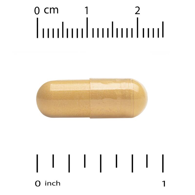 Two-Per-Day Multivitamin, V2, 120 Capsules