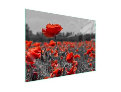 Glass Stovetop Protector 70x52 Flower