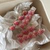Fermaglio per Capelli Fragola Carino Colore Gelatina Ragazze Lolita Frangia Pinzetta a Bec de Canard Ragazze Dolci Clip Laterale per Capelli Accessori per Acconciature Estive