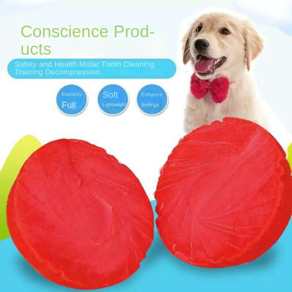 Bite Resistant Indestructible Bouncy Ball Dog Chew Toys Dog Training Interactive Ball Pet
