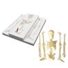 Decorative Drip Mold Cake Decorating Silicone Mold Chocolate Mould Halloween Skeleton Turn Sugar