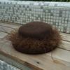 French Retro Hepburn Brown Coffee Woolen Top Hat Felt Hat Japanese Autumn And Winter Women'S Feather Warm Small Basin Hat