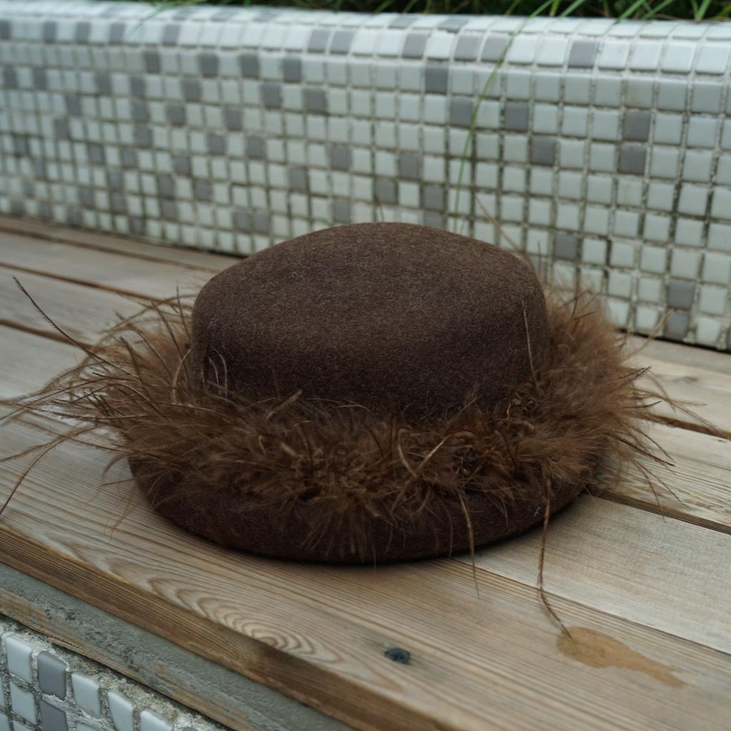 French Retro Hepburn Brown Coffee Woolen Top Hat Felt Hat Japanese Autumn And Winter Women'S Feather Warm Small Basin Hat
