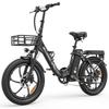 Allgobike AC20 Elektrische Fiets 250W Motor 20" Band Stadsverkeer Elektrische Fiets 48V 20Ah LED Display Maximaal Bereik 60Km 7 Versnellingen Maximaal Laadvermogen 120Kg
