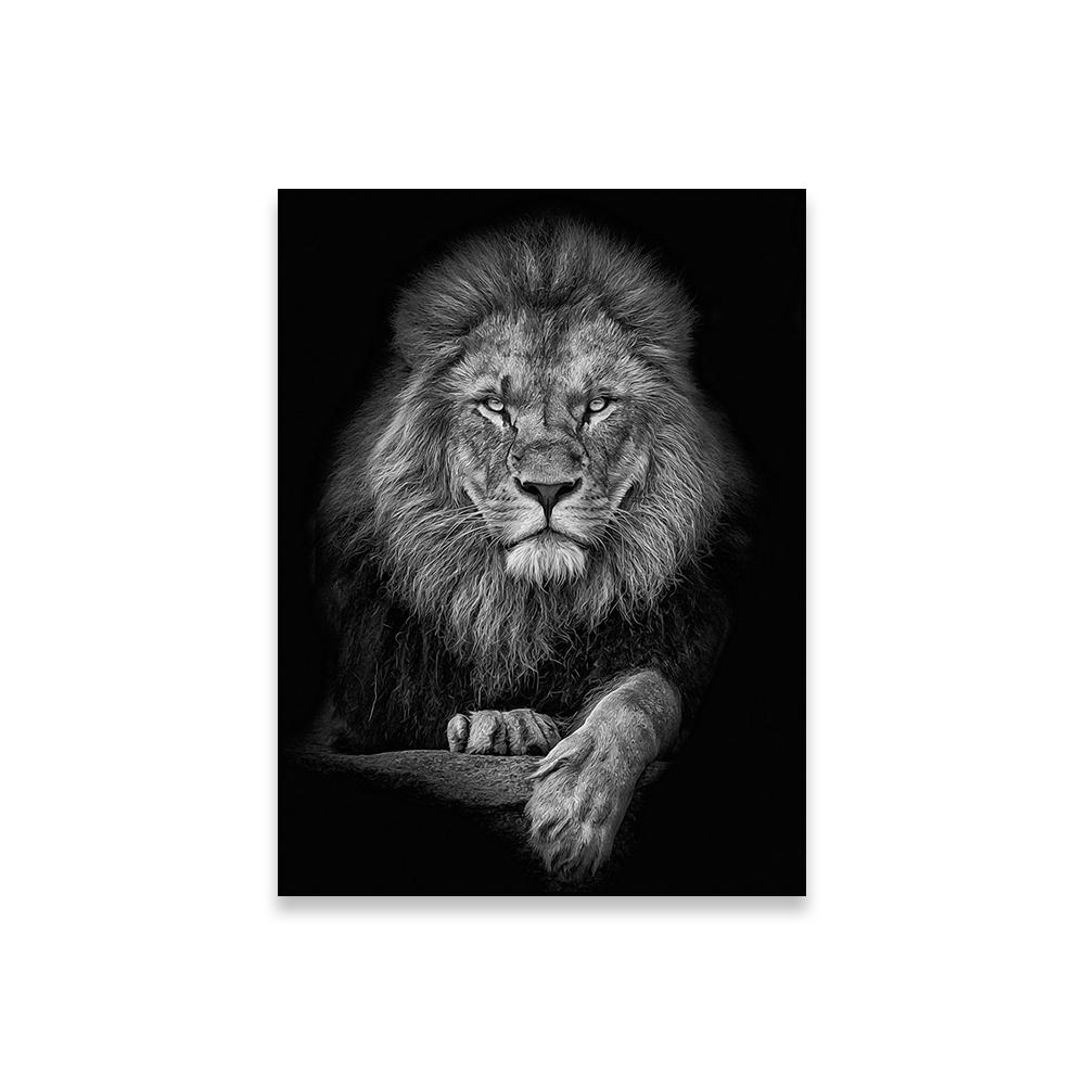 

Лев. Чорно-білий друк. Плакат. Тварини. Настінне мистецтво. Надихаючі принти. Мотиваційні скандинавські картини на полотні. Офісний декор. 70x100cm no frame