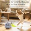Rechargeable Electric Moving Mice Toy Automatic Cat Teasing Device for Indoor Cats Puppies