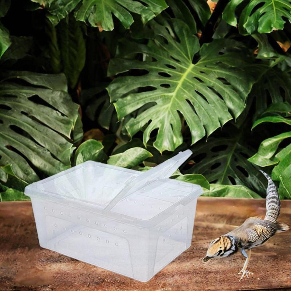Reptile Breeding Box Animal Habitat Cage Lightweight with Small Vents Turtle Transport Container