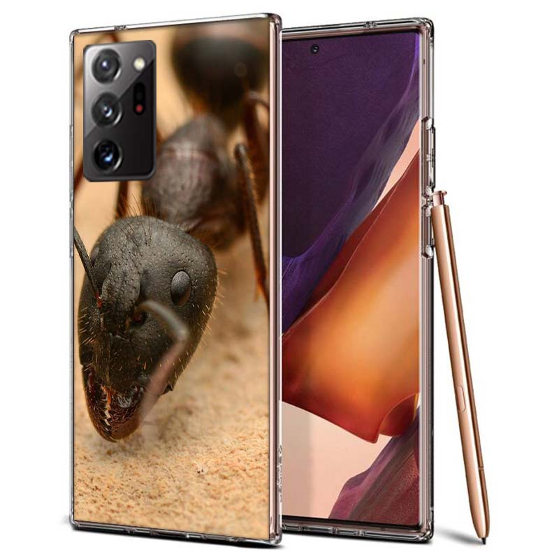Red Fire Ants, Worker Ants Phone Case for Samsung A55 A35 A25 A15 A07 A05S A16 A17 A26 A36 A37 A56 A57 Galaxy Note 20 10 A50S A7