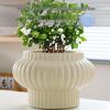 Extra Large Light Luxury Ceramic Flower Pot with Tray