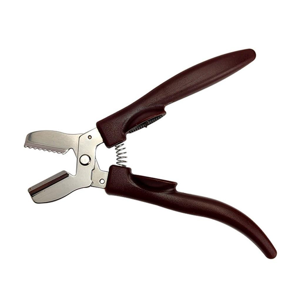 Compact Chestnut Clip Chestnut Opener Cross Opener
