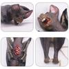 Araneid Halloween Animal Ornament Bat Haunted House Decor Bloody Simulation Finger Eyeball  Bar