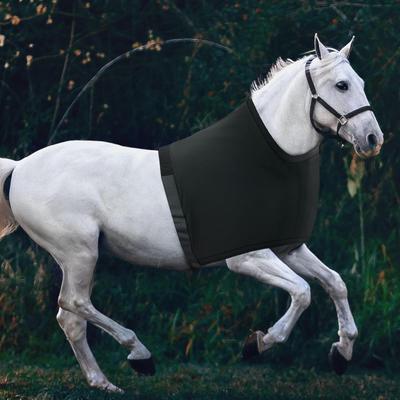 Horse Shoulder Guard Adjustable Straps Reusable Portable Chest Saver Fitting Stretch Equestrian