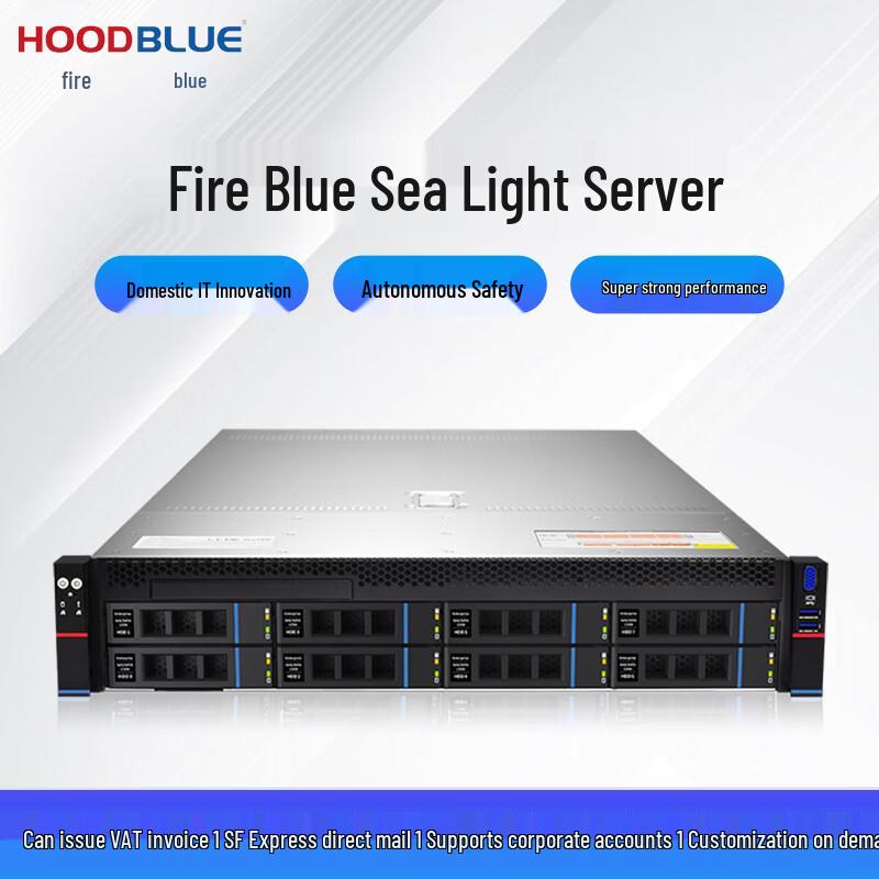 Hoodblue TS8208-H31 Loongson Enterprise 2U Rackmount Server