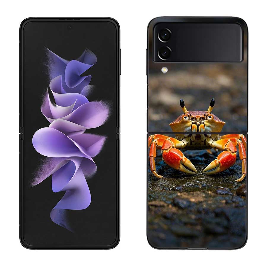 Unique Animal Crab Phone Case For Samsung Z Flip 7 6 5G Galaxy Z Flip 5 4 3 Black Hard Cell Cover Luxury PC Shell Coque