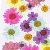 Dried Flowers DIY Decorative for Resin Jewelry Making Crafts Nail Stickers