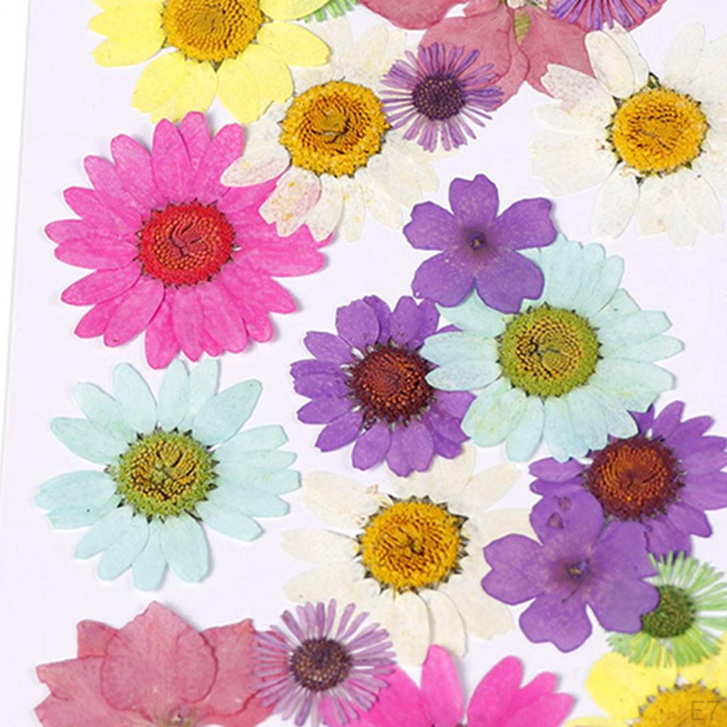 Dried Flowers DIY Decorative for Resin Jewelry Making Crafts Nail Stickers