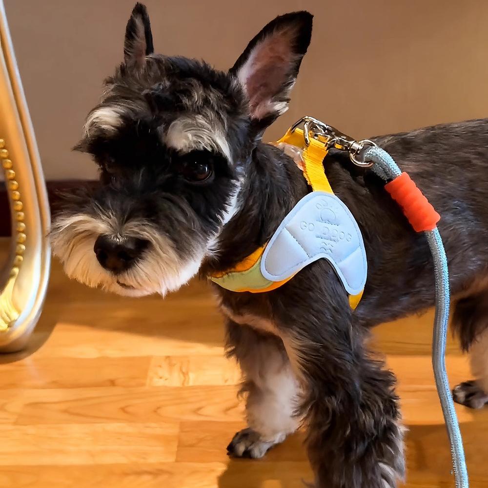 Y-shaped Dog Harness for Small Dogs Shiba Inu Puppy Chest Straps Macaron Color Matching Pet Harness Outdoor Products