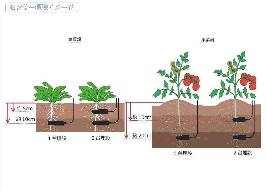 ARP Soil Moisture Sensor WD5-WET-SDI [3-output SDI model / soil volumetric moisture content, temperature, electrical conductivity]