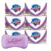 Safeguard Lavender Soothing Care Bar Soap 6-Pack