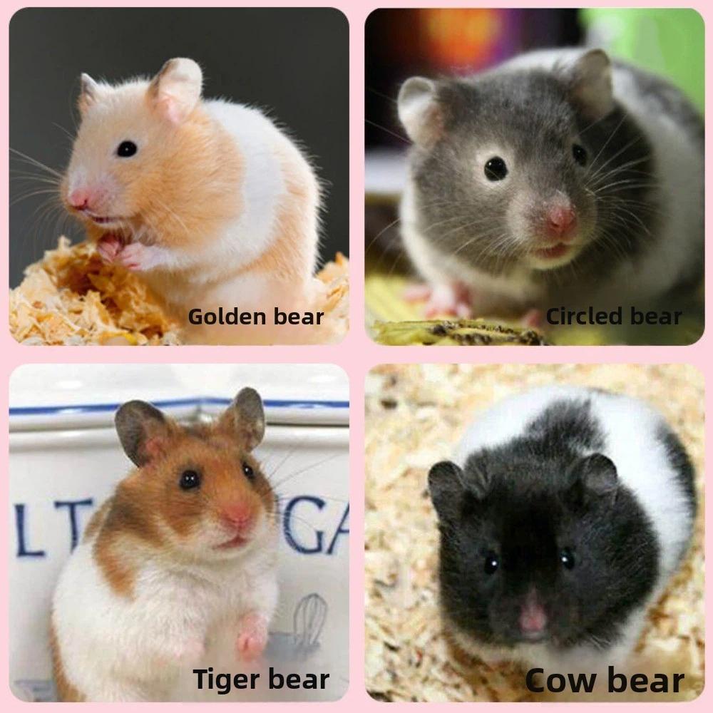 Coral Fleece Hanging Squirrel Sleeping Bag Hamster Hanging Cage  Hedgehog/Mice/Rabbit/Squirrel