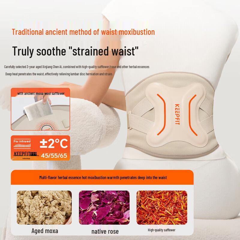 KePuFei KPF-W15S Wireless Waist Massager