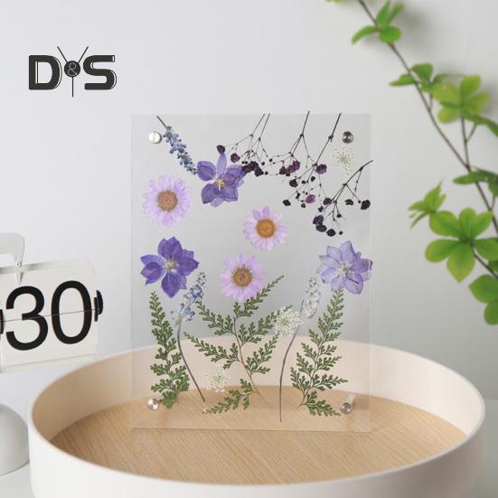 Acrylic Photo Frame Clear Picture Frames Tabletop or Wall Mount Display Frame for Home And Office DIY Dried Flower Crafts