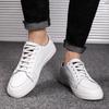 Spring and Autumn New Men's Sports Board Shoes Teenagers Student Trendy Versatile Casual Shoes