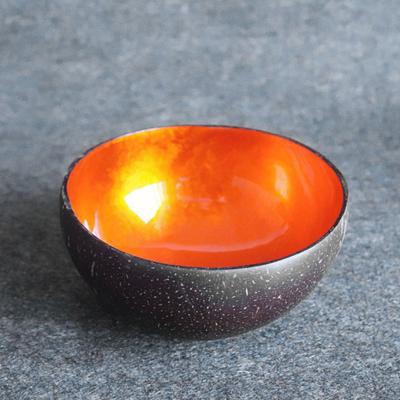 Food Container Coconut Compact Durable Shell Vintage Anti-Wear Painted Bowls for Restaurant