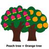 4 Styles Available Fruit Tree Puzzle Felt Children Early Education Toys Kindergarten Color Number Fruit Cognitive Teaching Aids