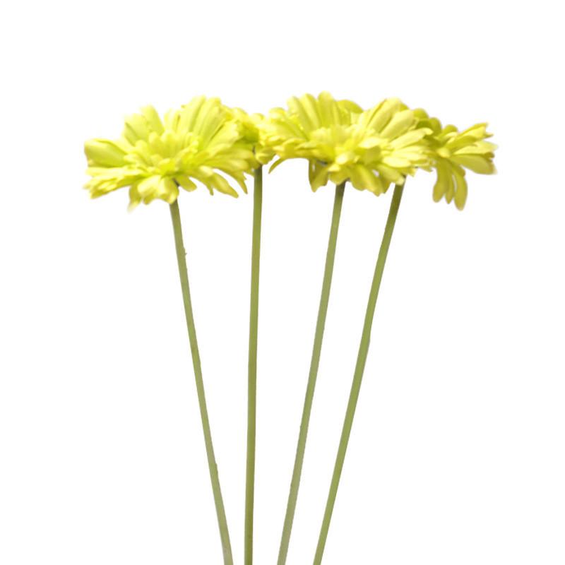 Bolus Jamesonii Gerbera Faux Flower Artificial Plant Ornament For Decor Home