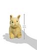 BH7022 HANSA Netherland Dwarf 21