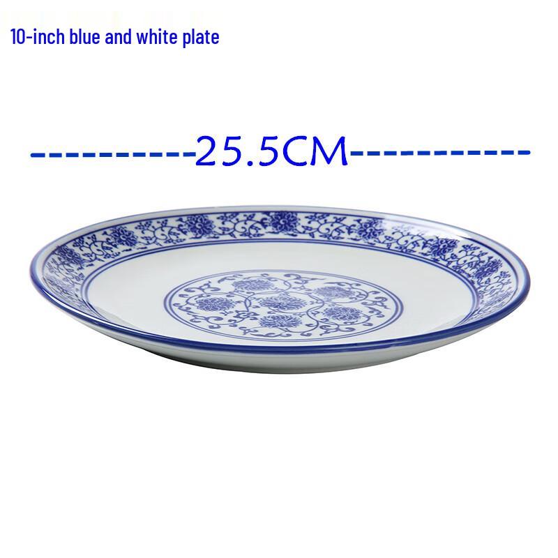 Blue and White Ceramic Noodle & Rice Plate