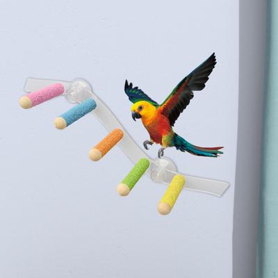 Suction Cup Wood Perch Toy Bird Window and Shower Toys for