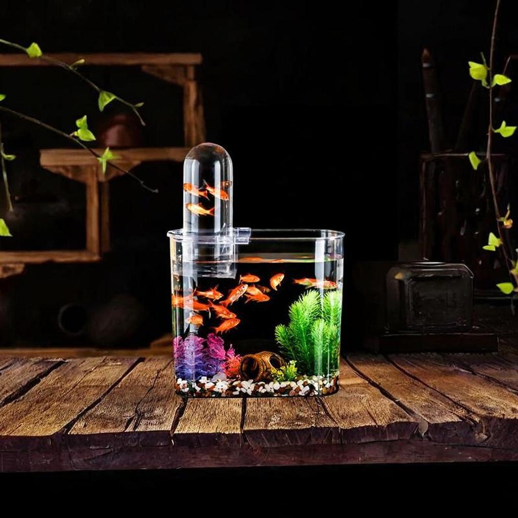 Mini Fish Tank with Lid Sturdy Amphibian Feeding Box Portable with Ventilation Turtle Tank for Home Table Bedroom Decorative