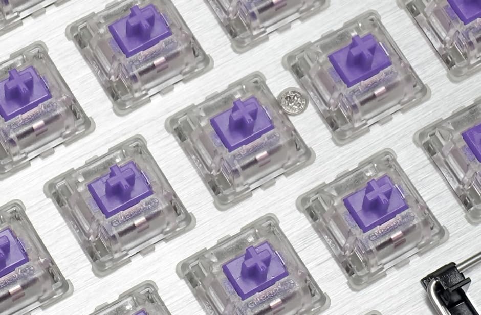 FILCO CHERRY MX2A RGB 5-Pin Switches, Purple, Pack of 70, for Clear Case RGB Keyboards (FKSW70CH/MPU-RZ)