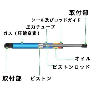X AUTOHAUX Gas Damper, Gas Spring, Damper, Joint Gas Strut for Cars, Trailers, and Trucks, 630mm, 300N/31kg Load Capacity, 2 Pieces, Universal Fit