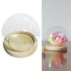 Glass Display Cloche Terrarium Ball Shaped Cover with Wooden Base