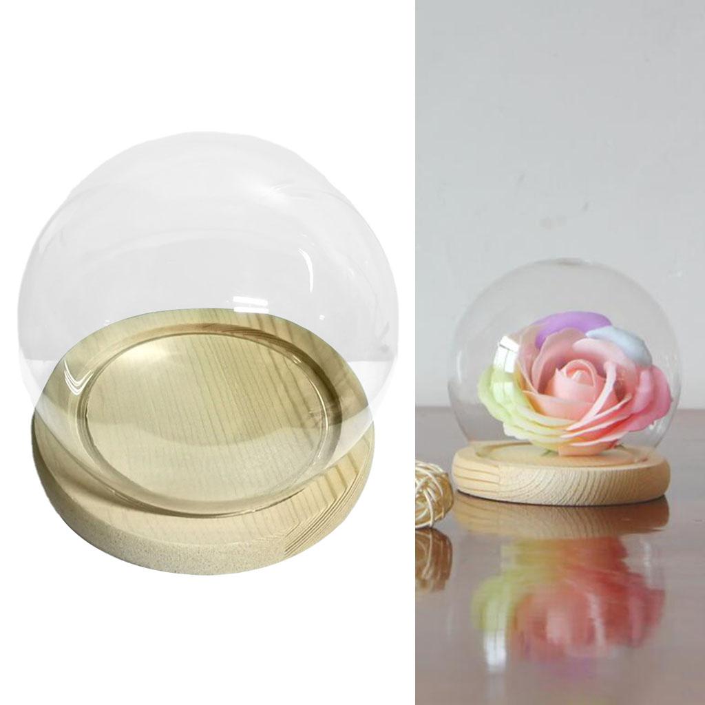 Glass Display Cloche Terrarium Ball Shaped Cover with Wooden Base