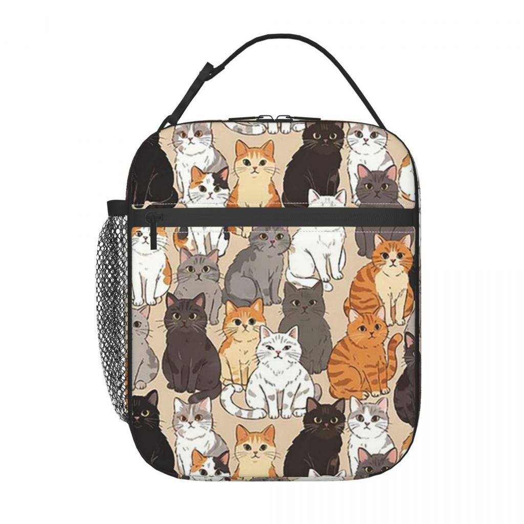 Cartoon Colour Kitten Pattern Insulated Lunch Bag for Women Kids Leakproof Food Boxes Thermal Lunch Box Tote