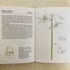 [USED] Foreign books, old books, Czech botanical encyclopedias, bulbous plants, tuberous plants, tulip cover