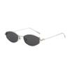Sunglasses Trendy Eyewear Fashion Sunglasses